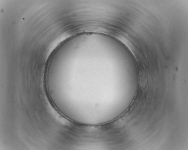 X0000089421139200707061312