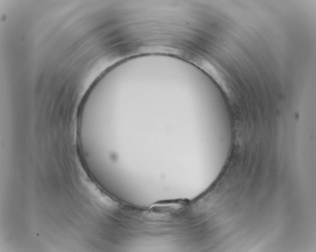 X0000089421140200707061312