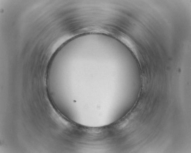 X0000089421141200707061312