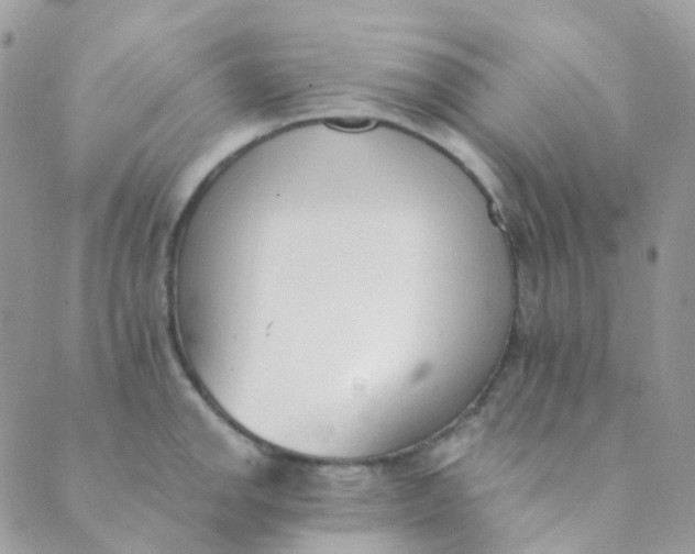 X0000089421142200707061312