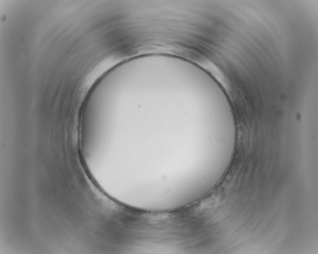 X0000089421143200707061312