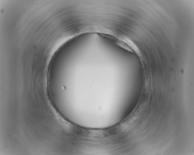 X0000089421144200707061312