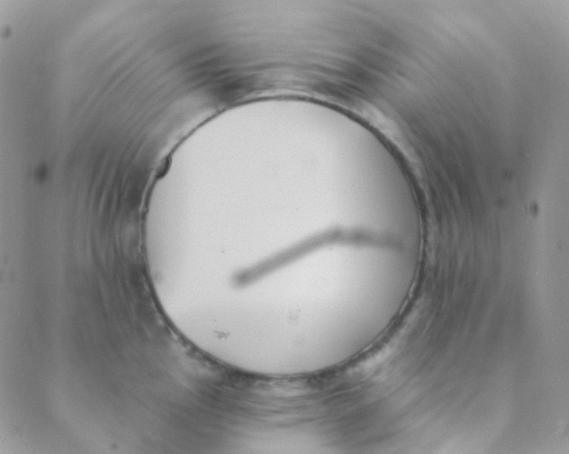 X0000089421145200707061312