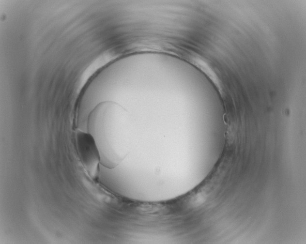 X0000089421146200707061312