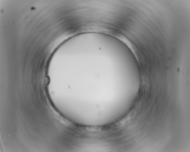 X0000089421147200707061312