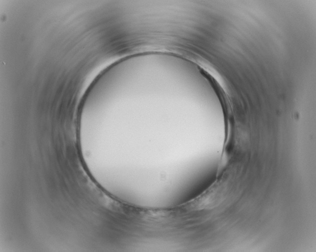 X0000089421148200707061312