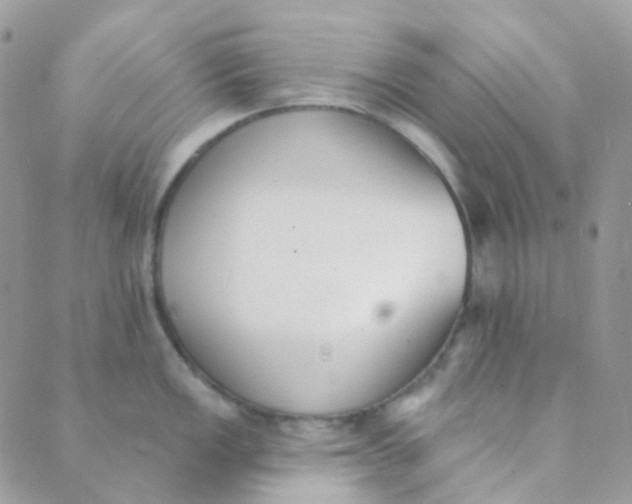 X0000089421149200707061312