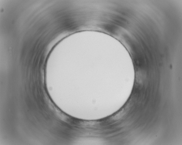 X0000089421150200707061312