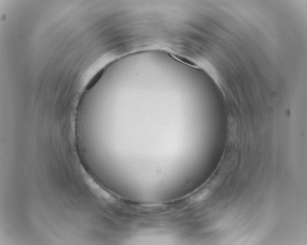 X0000089421151200707061312