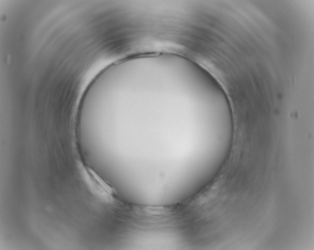 X0000089421152200707061312