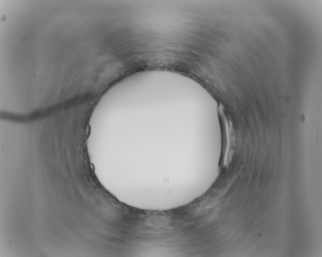 X0000089421153200707061312