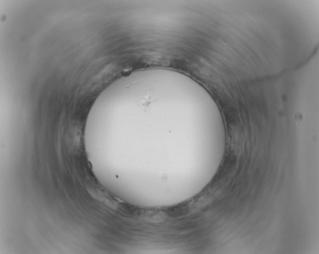 X0000089421154200707061312