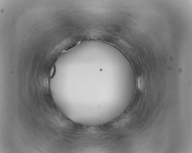 X0000089421155200707061312