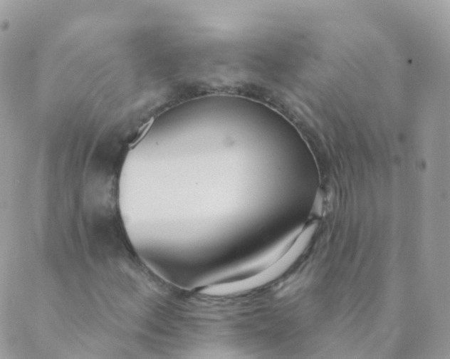 X0000089421156200707061312