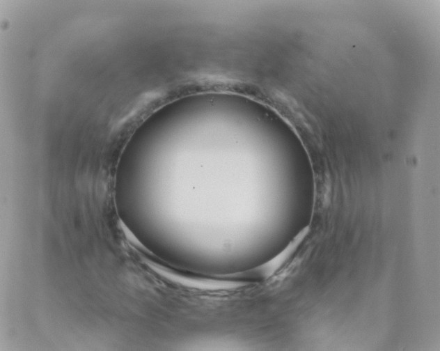 X0000089421157200707061312