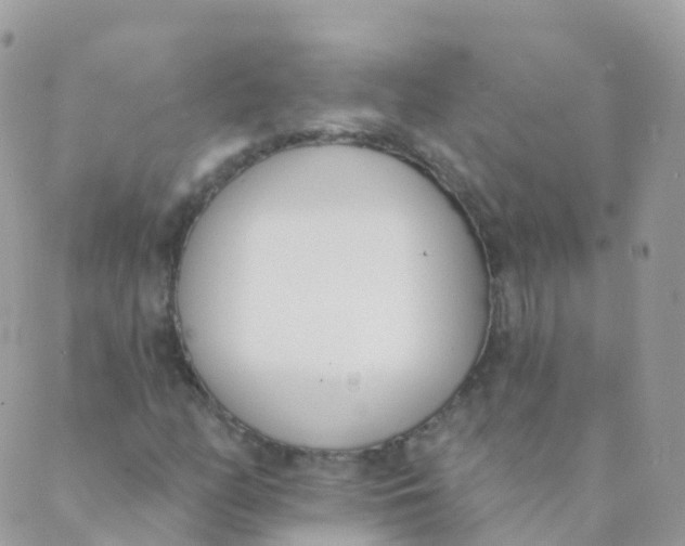 X0000089421158200707061312