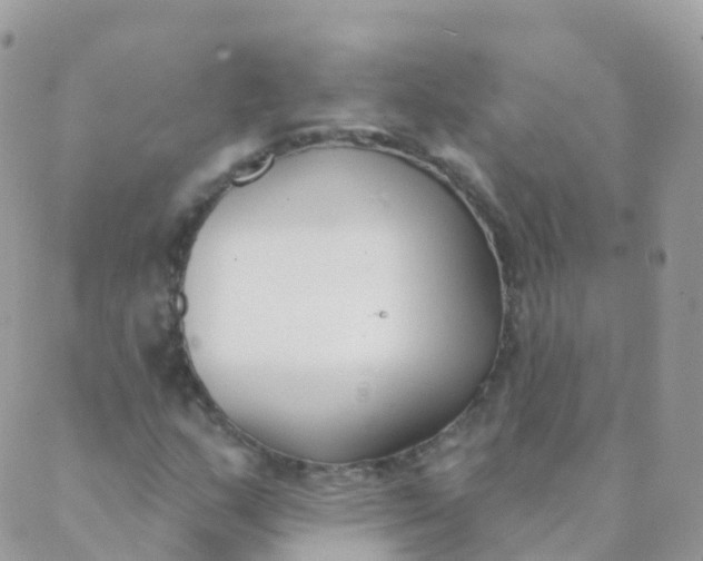 X0000089421159200707061311