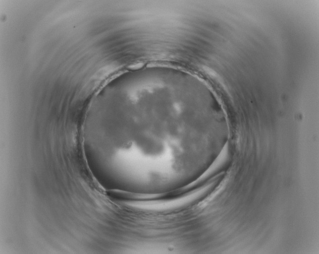 X0000089421161200707061311