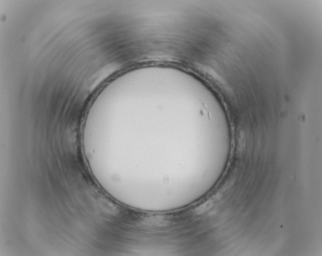 X0000089421162200707061311