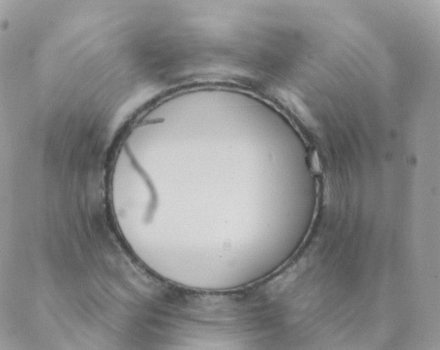 X0000089421164200707061311