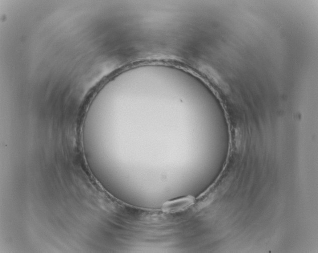 X0000089421165200707061311