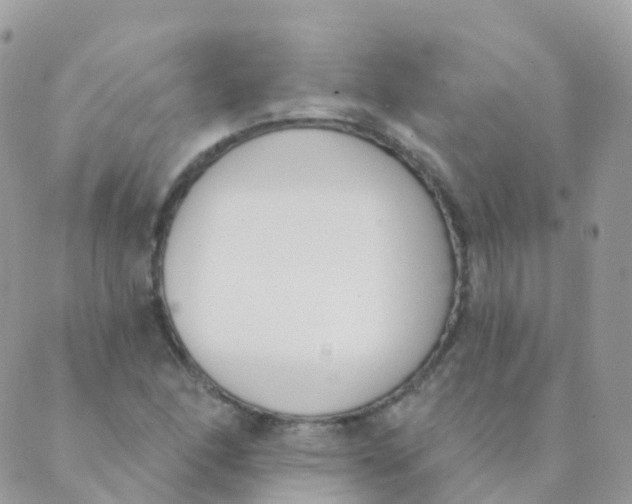 X0000089421166200707061311