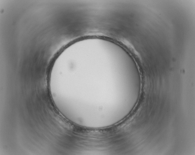 X0000089421167200707061311