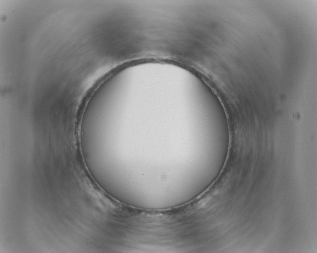 X0000089421168200707061311