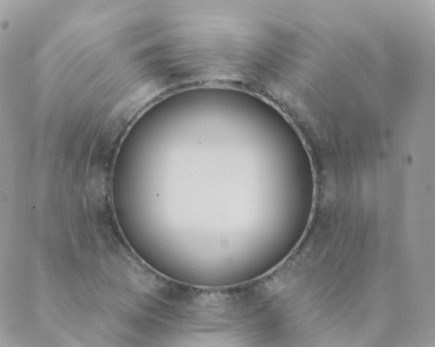 X0000089421169200707061311