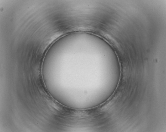 X0000089421170200707061311