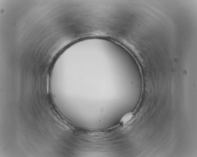 X0000089421171200707061311