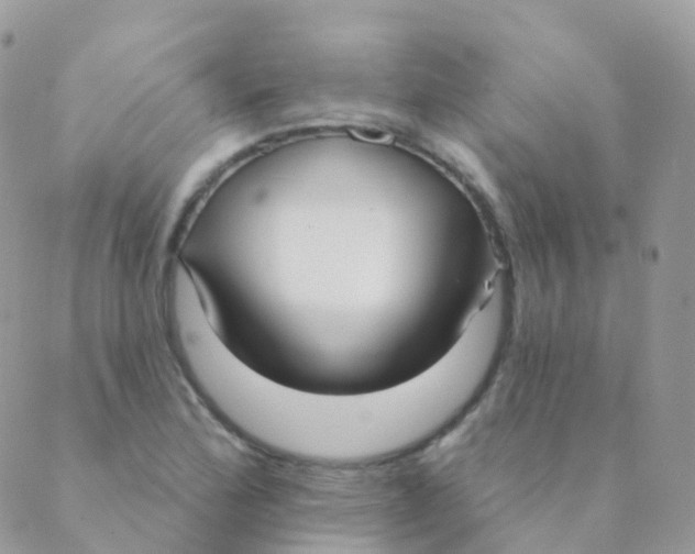 X0000089421172200707061311