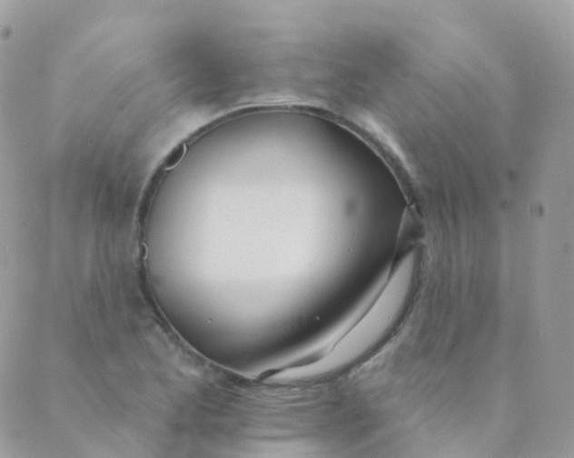 X0000089421173200707061311