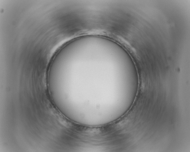 X0000089421174200707061311