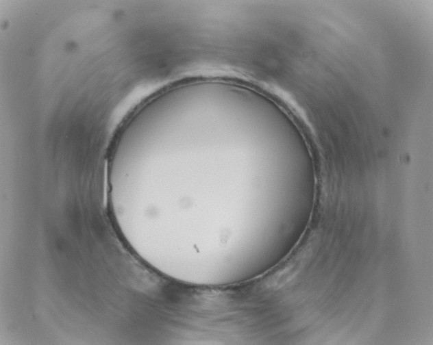 X0000089421175200707061311