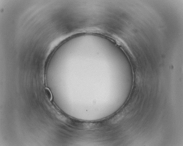 X0000089421176200707061311