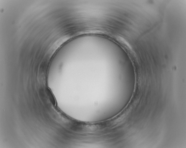 X0000089421177200707061311