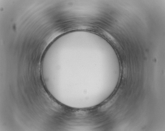 X0000089421178200707061311