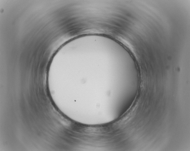 X0000089421179200707061311