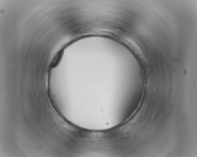 X0000089421180200707061311