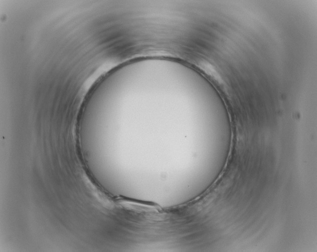 X0000089421181200707061311