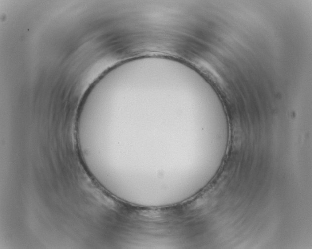 X0000089421182200707061311