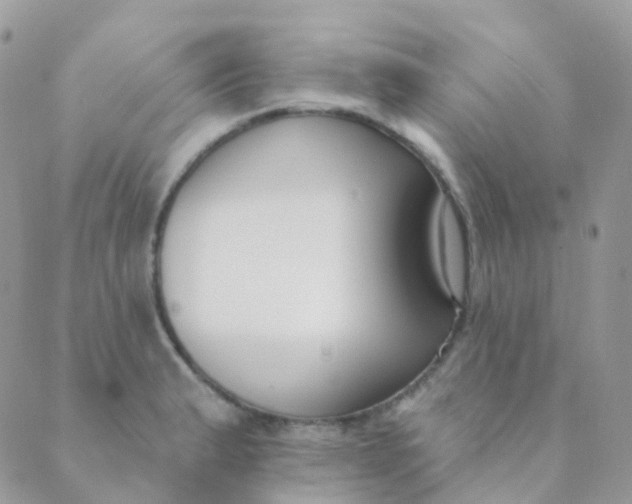 X0000089421183200707061311