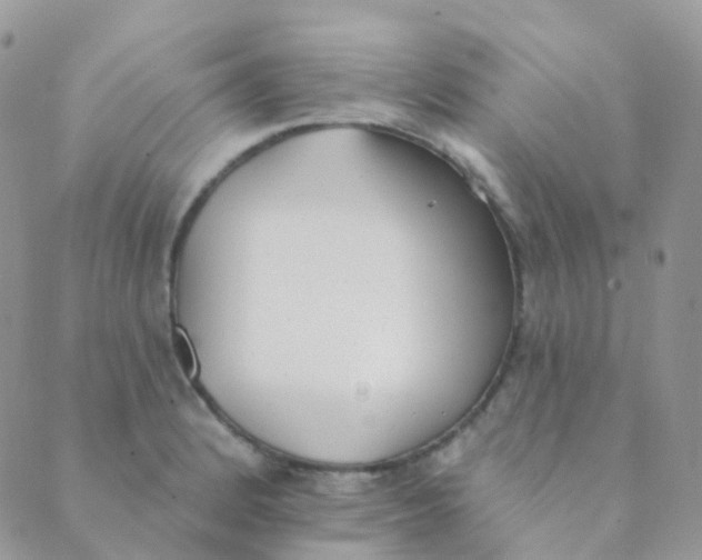 X0000089421184200707061311