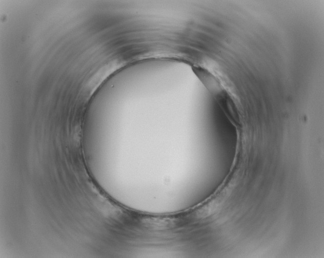 X0000089421185200707061311