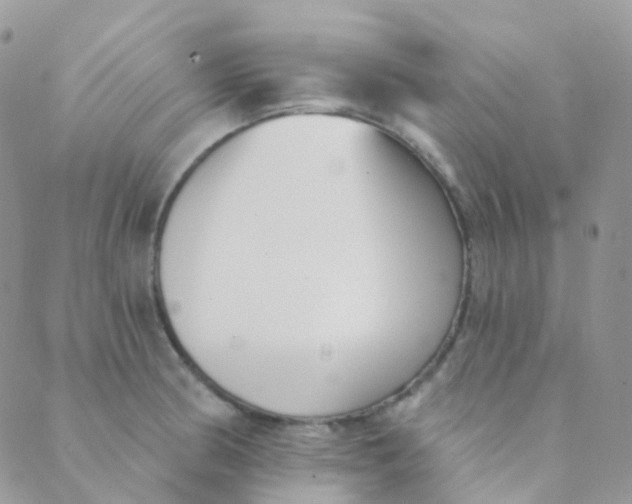 X0000089421186200707061311