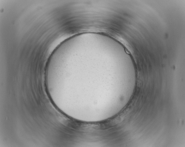 X0000089421187200707061311