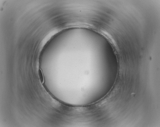 X0000089421188200707061311