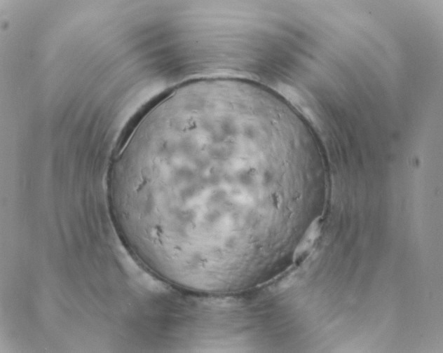 X0000089421189200707061311