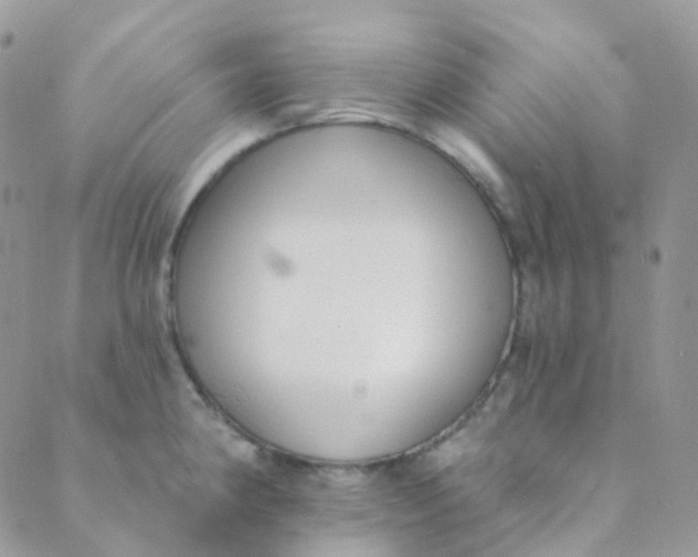 X0000089421190200707061311